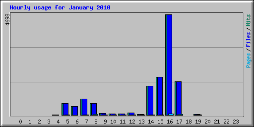 Hourly usage for January 2010